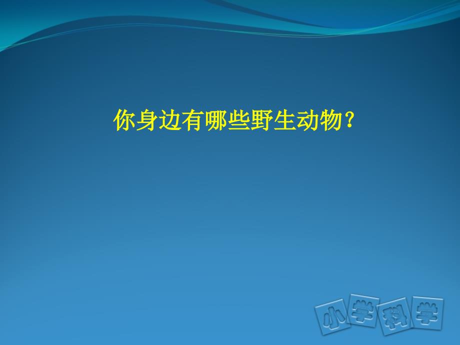 三年级上科学课件拯救野生动物首师大_第2页