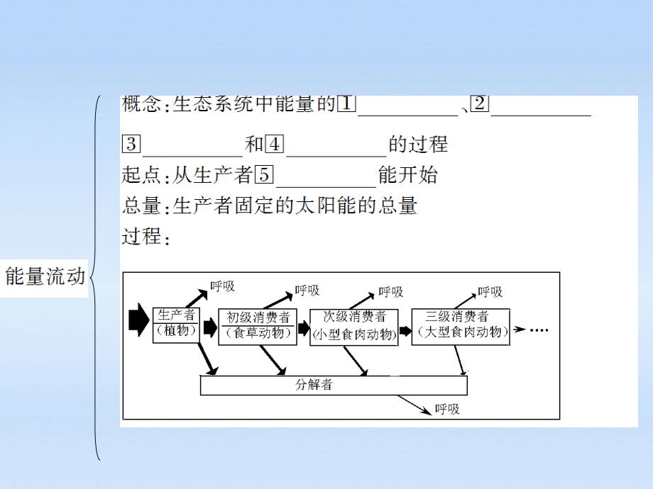 状元之路高中生物第一轮复习第2节生态系统的能量流动.ppt_第3页