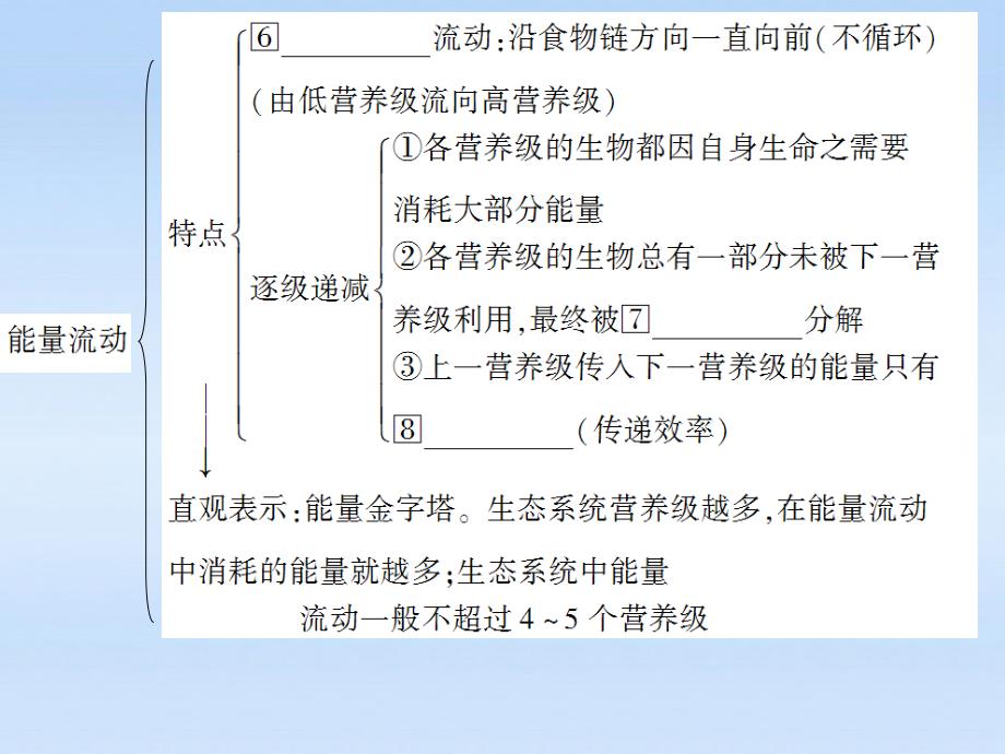 状元之路高中生物第一轮复习第2节生态系统的能量流动.ppt_第4页