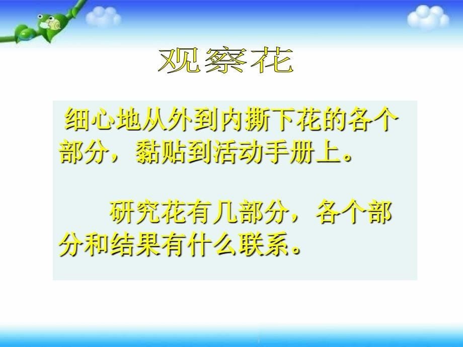 三年级下科学课件开花了结果了教科_第5页