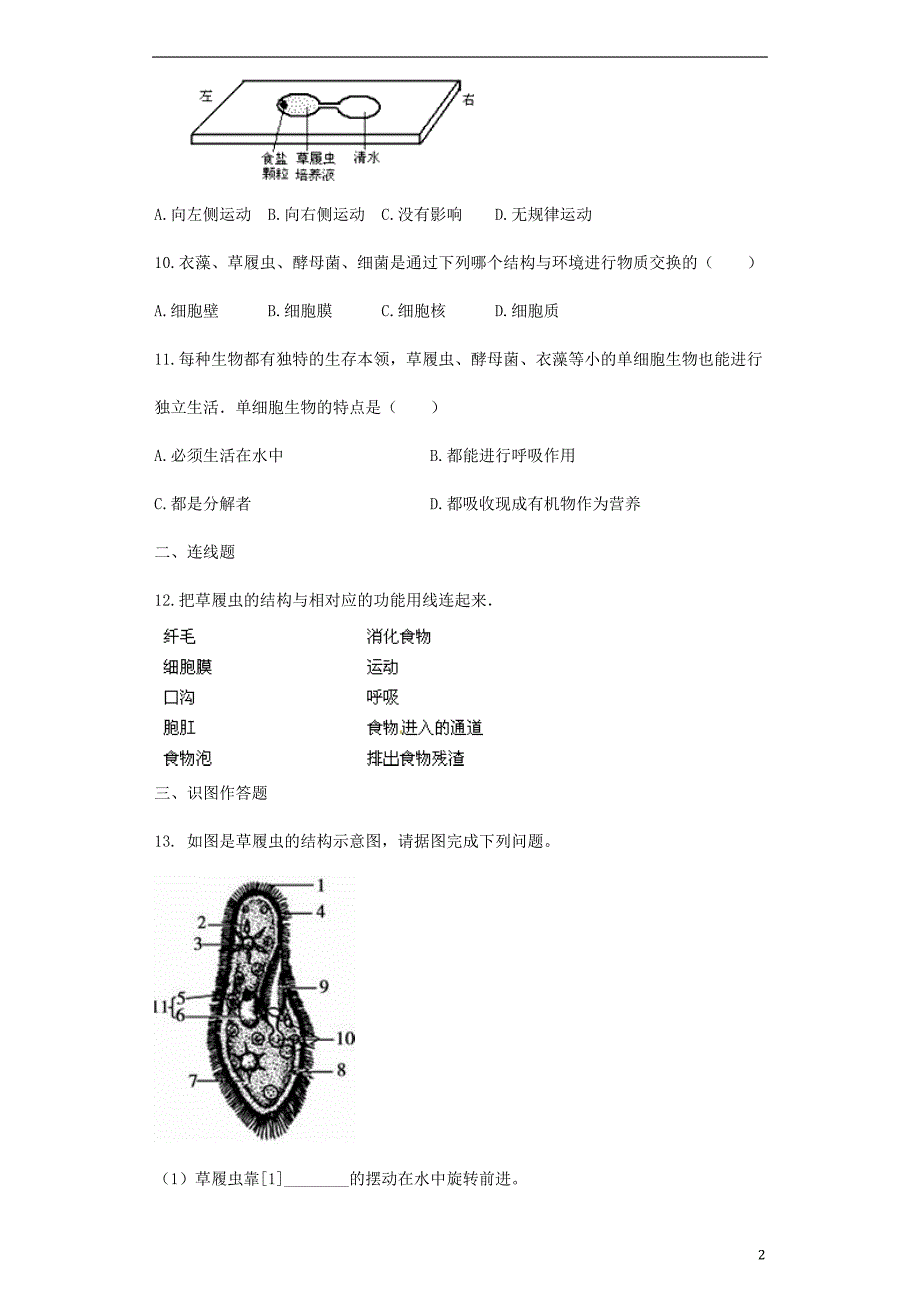 七级生物上册2.4.1单细胞生物测新苏教.doc_第2页