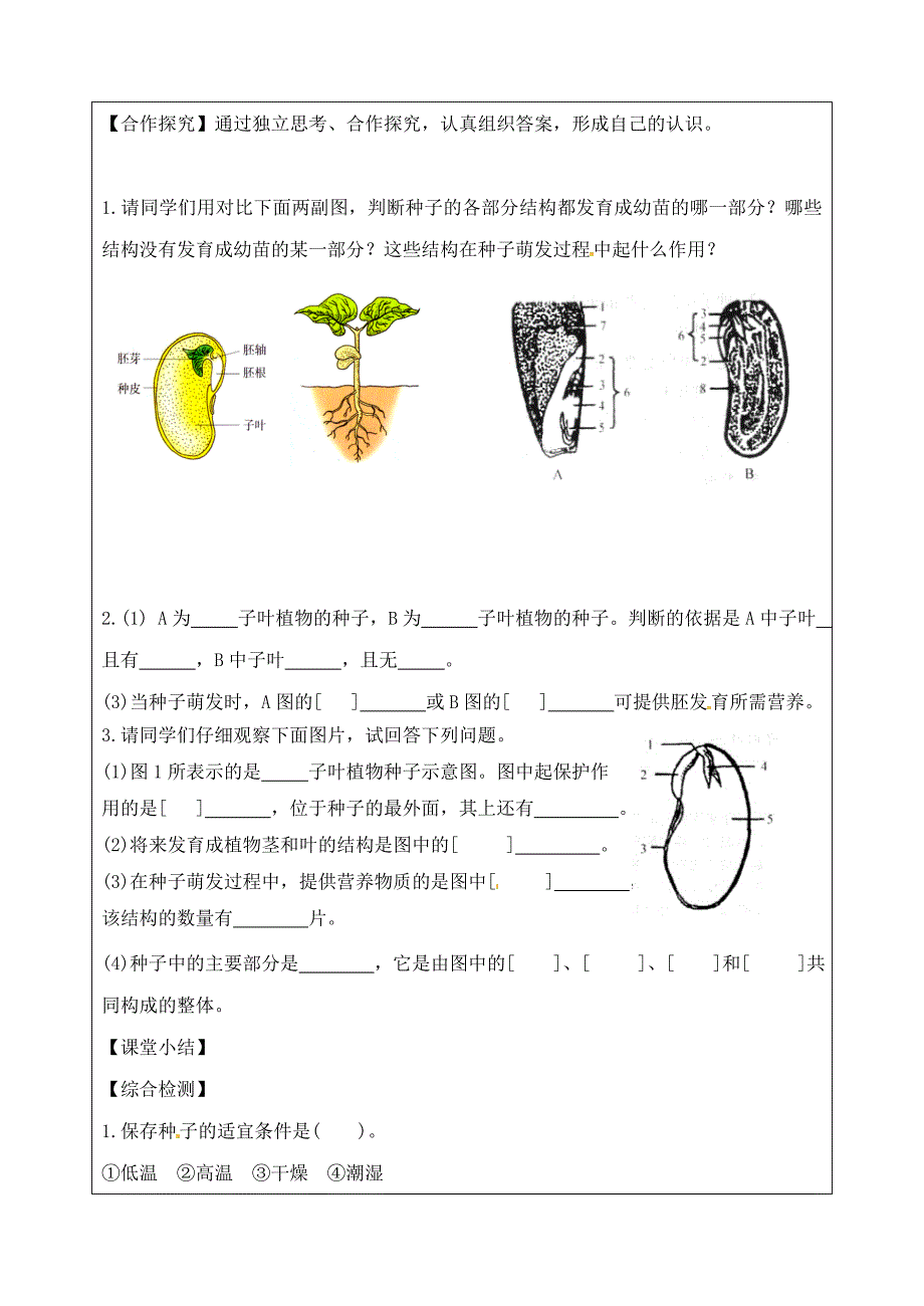 八级生物上册3.1.1种子萌发的过程导学案新冀教.doc_第2页