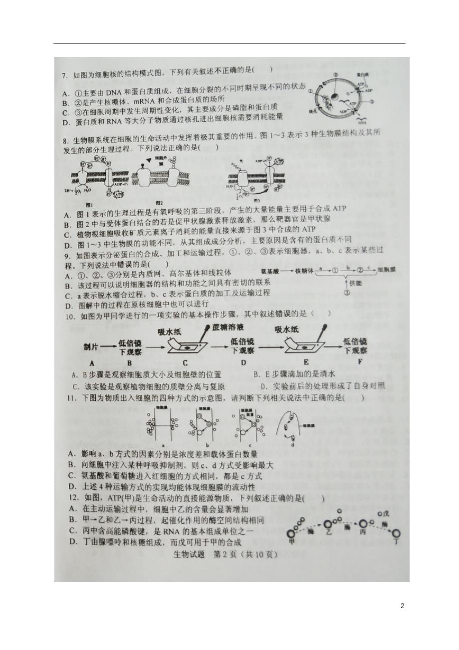 黑龙江大庆高三生物开学考试.doc_第2页