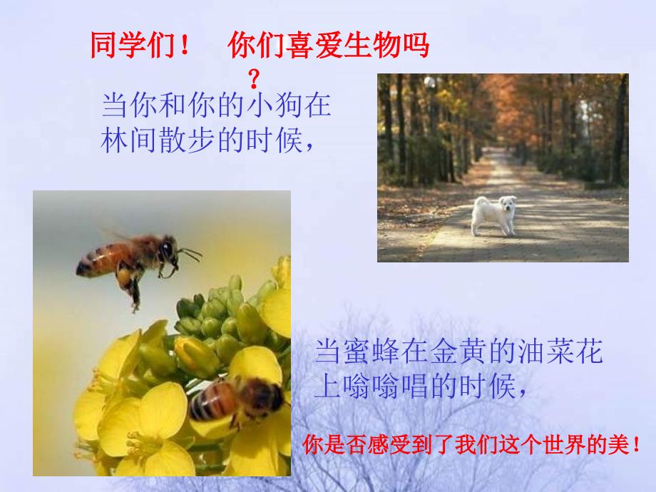 七级生物致同学们1.ppt_第2页