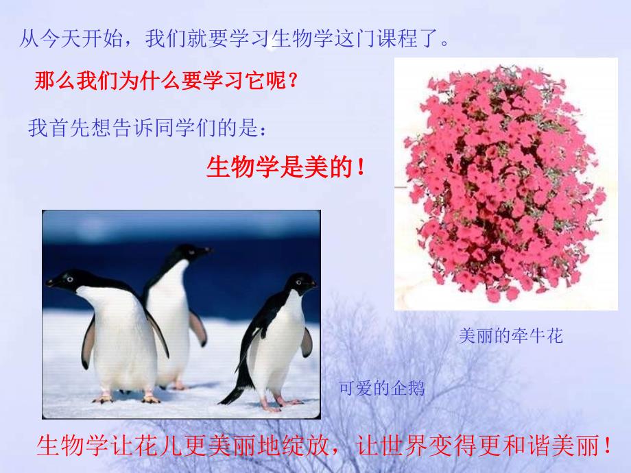 七级生物致同学们1.ppt_第4页