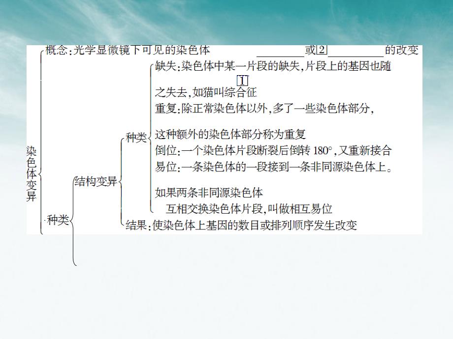 状元之路高中生物第一轮复习染色体变异.ppt_第3页