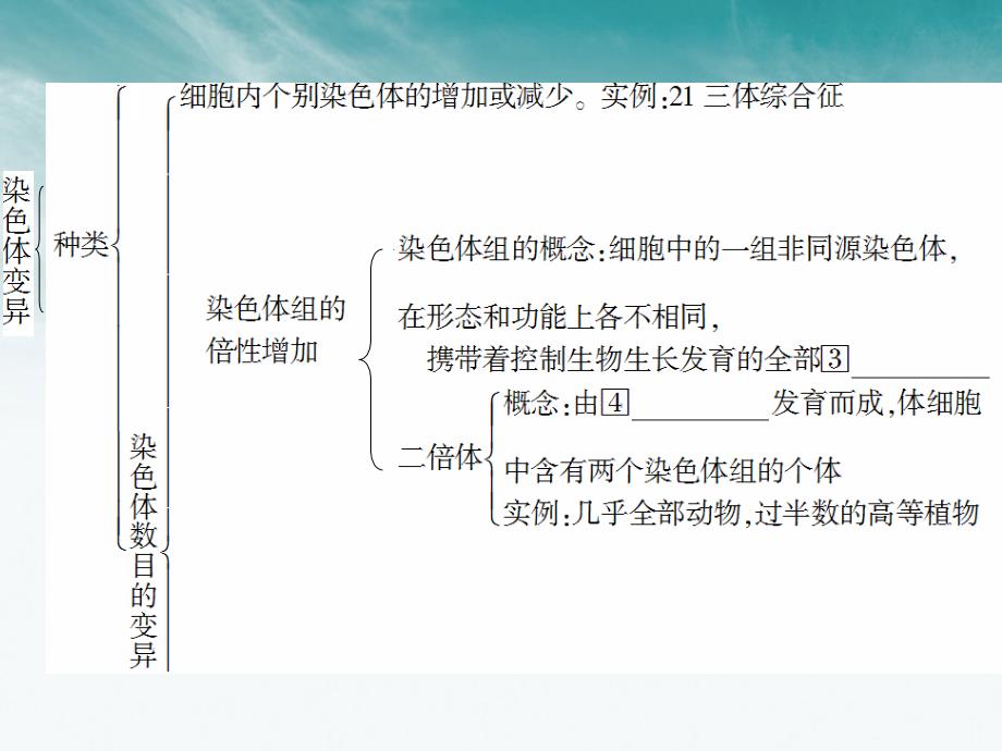 状元之路高中生物第一轮复习染色体变异.ppt_第4页