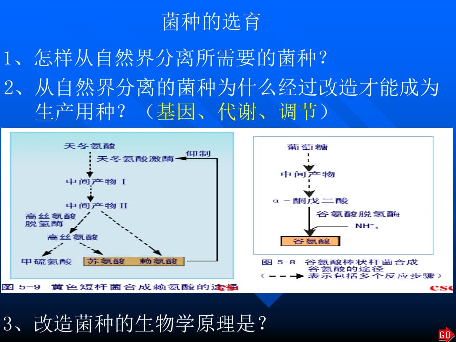 理解能力解读高考生物物讲义.ppt_第1页