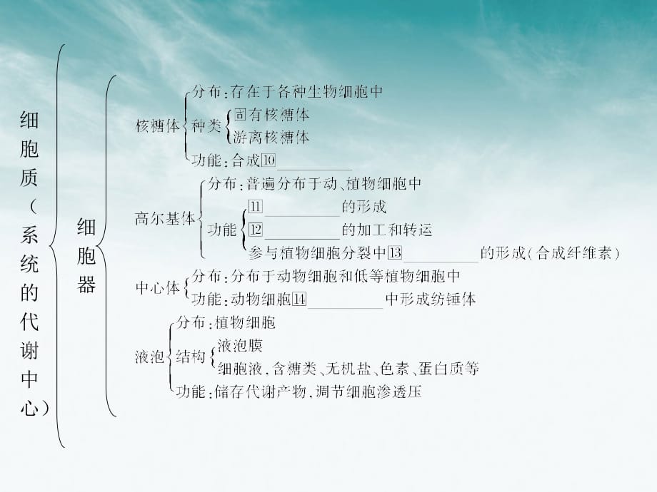 状元之路高中生物第一轮复习细胞器系统内的分工合作.ppt_第4页