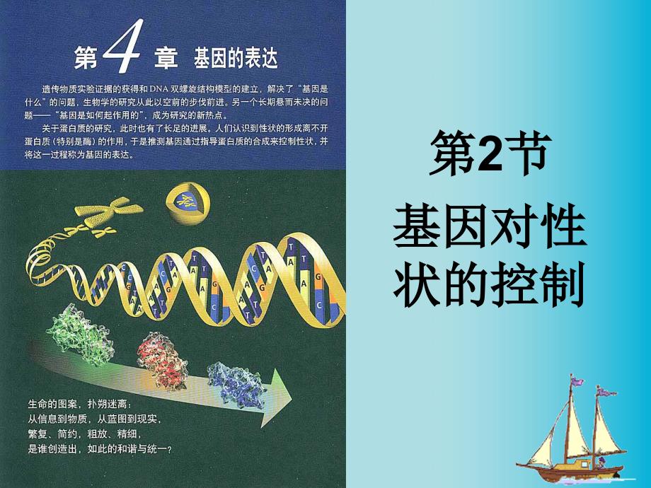 河北衡水14中高中生物4.2基因对性状的控制 必修2.ppt_第1页