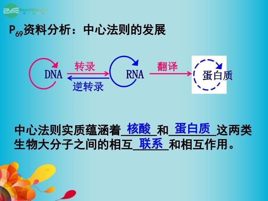 河北衡水14中高中生物4.2基因对性状的控制 必修2.ppt_第5页