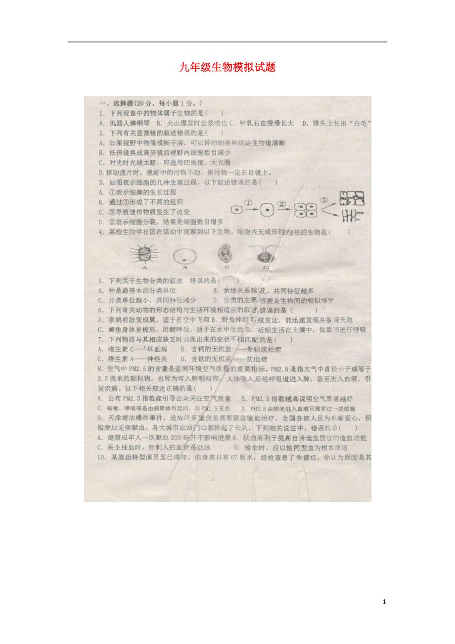 山东单九级生物模拟.doc_第1页