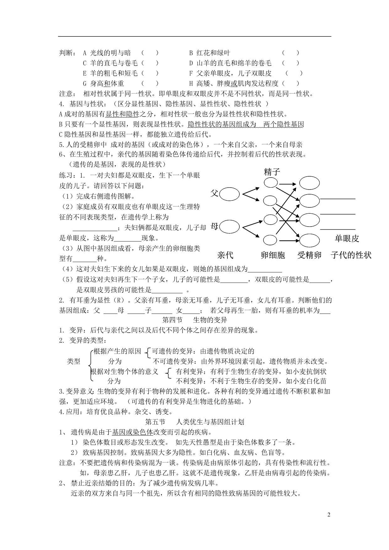 八级生物上册 第四单元 第四章 生物的遗传与变异复习提纲 济南.doc_第2页