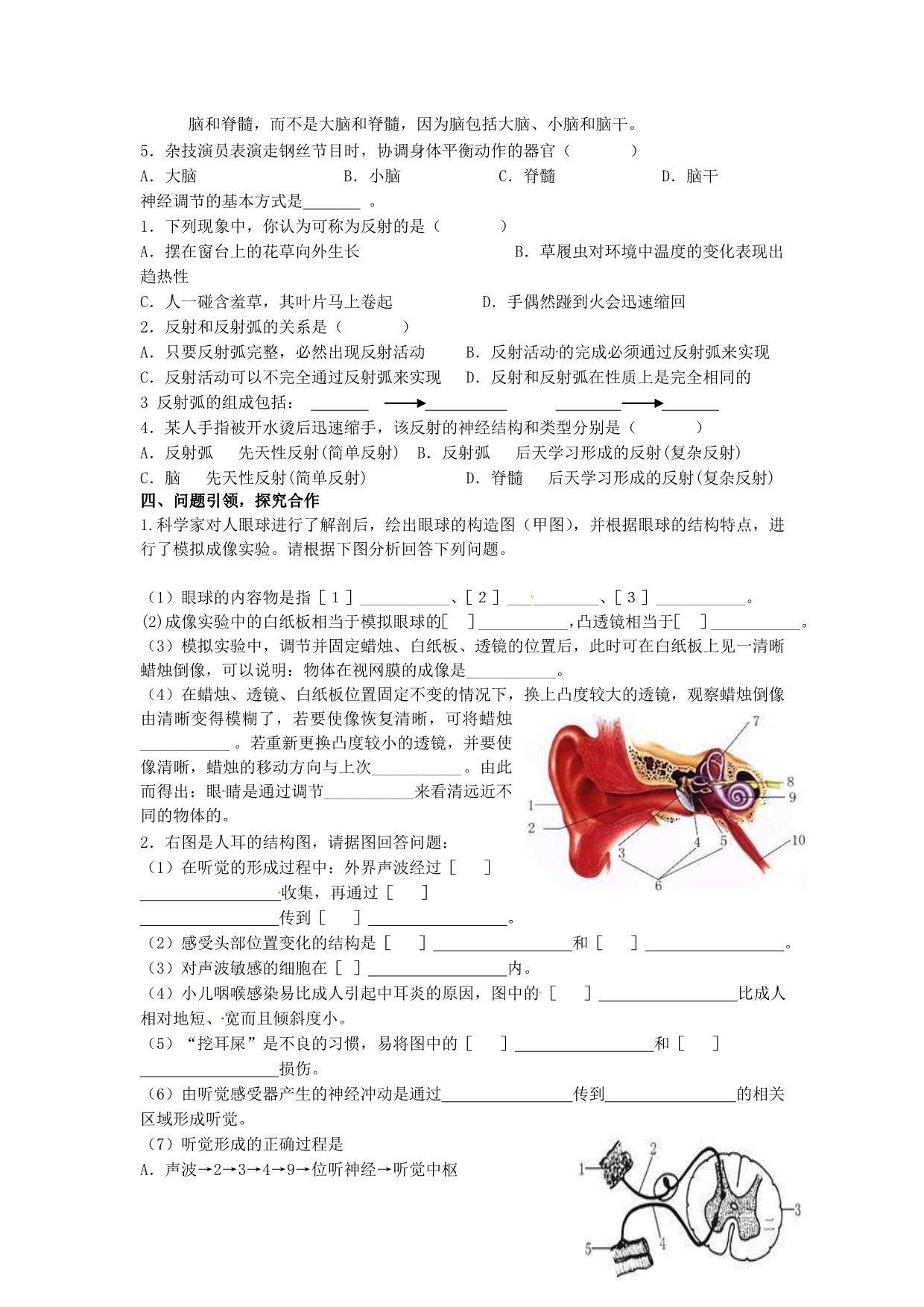 山东冠武训高级中学七级生物下册 第四单元 第六章 人体生命活动的调节导学案 .doc_第2页