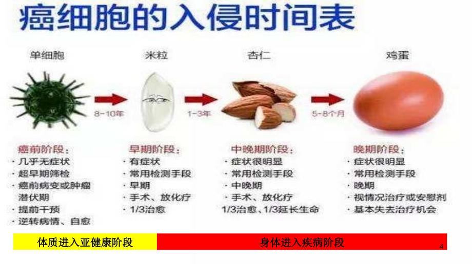 中医九种体质养生课PPT参考幻灯片_第4页