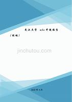武汉大学mba开题报告（模板）.doc