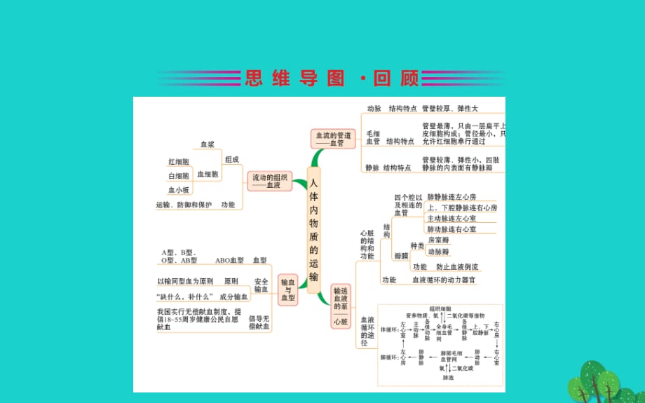 七级生物下册期末抢分必胜课第一部分主干知识速记第四单元第四章人体内物质的运输新.ppt_第2页