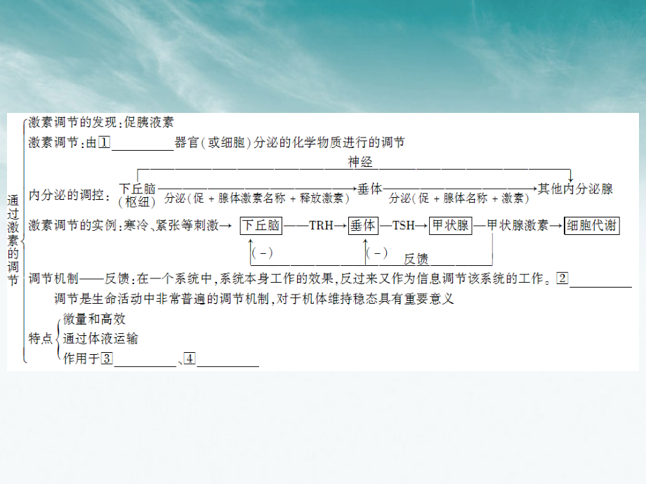 状元之路高中生物第一轮复习第2、3节通过激素的调节、神经调节和体液调节的关系.ppt_第3页