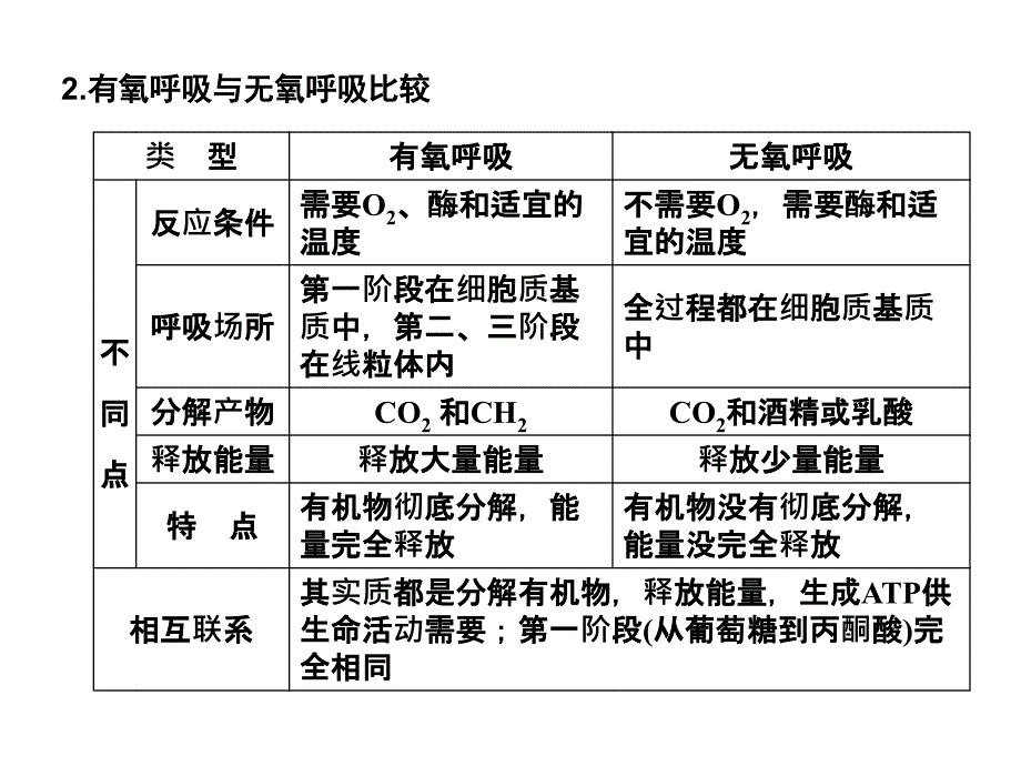 高考生物一轮复习 第4章 第11讲 ATP的主要来源细胞呼吸 苏教必修1 .ppt_第2页