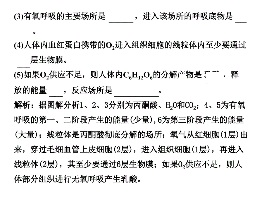 高考生物一轮复习 第4章 第11讲 ATP的主要来源细胞呼吸 苏教必修1 .ppt_第4页