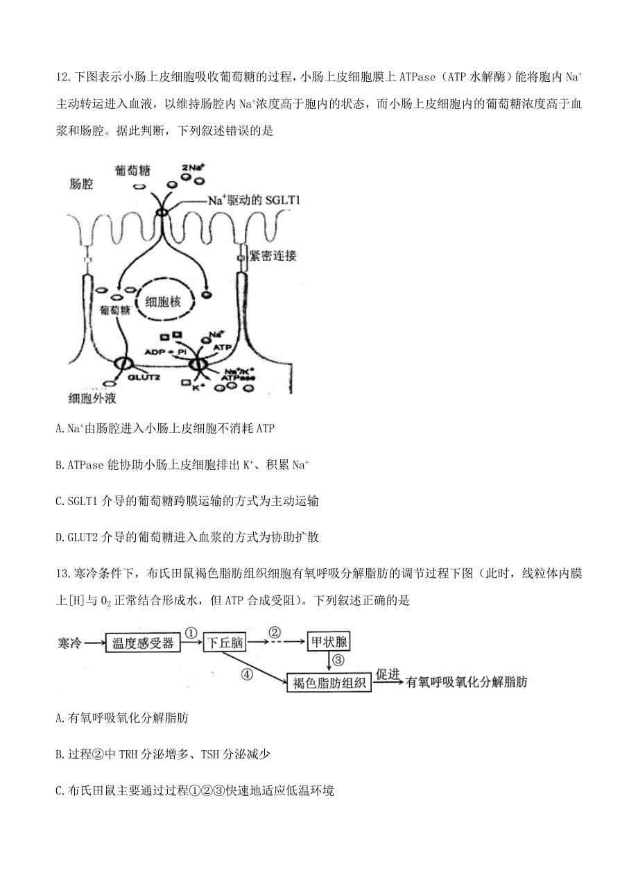 江苏省苏州市2018届高三期中调研生物试卷（Word版含答案）_第5页