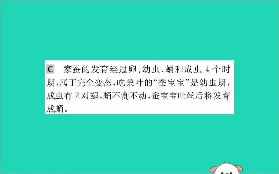 八级生物下册第七单元生物圈中生命的延续和发展第一章生物的生殖和发育2昆虫的生殖和发育训练新.ppt_第5页