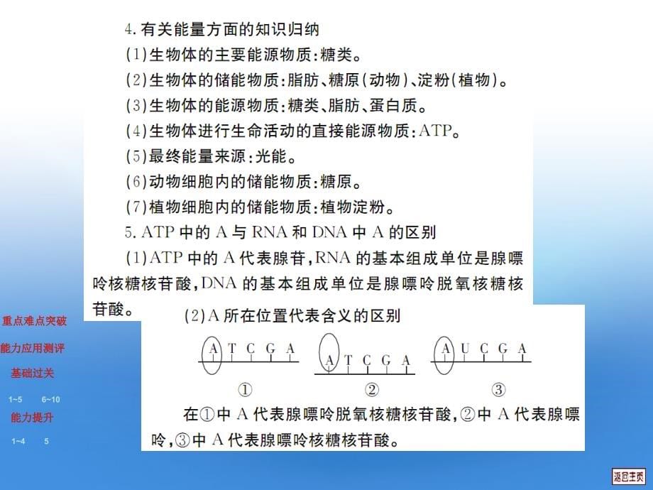 高考生物5.2细胞的能量能货ATP复习.ppt_第5页