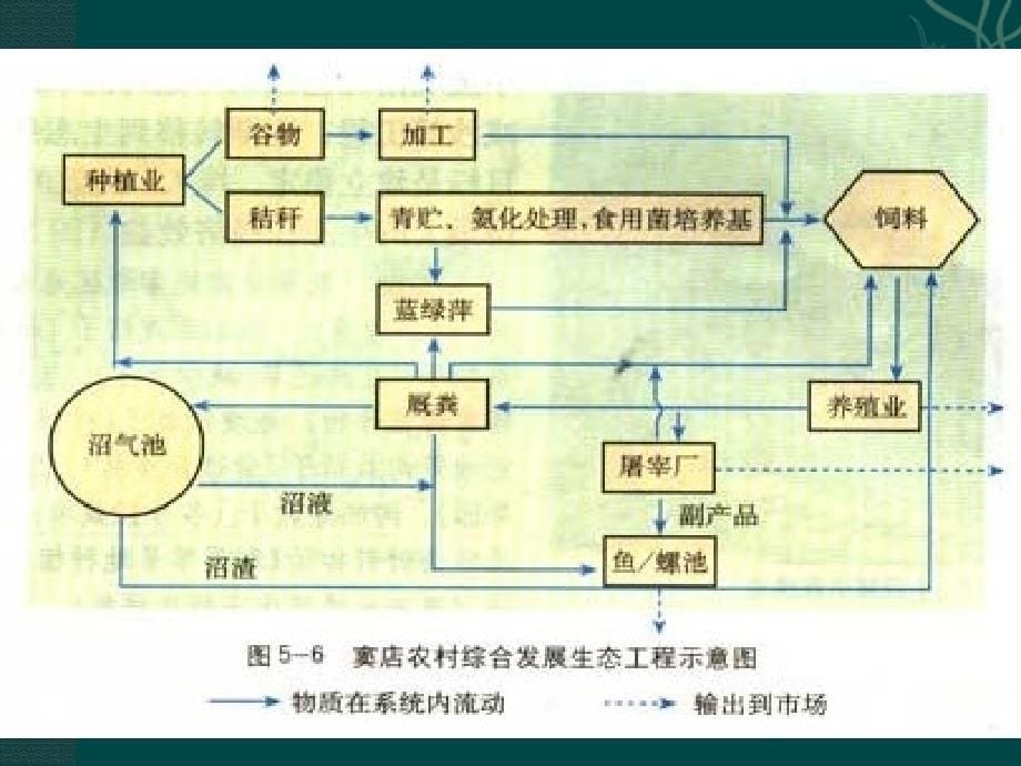 高中生物： 212 我国的生态工程中图选修3.ppt_第5页