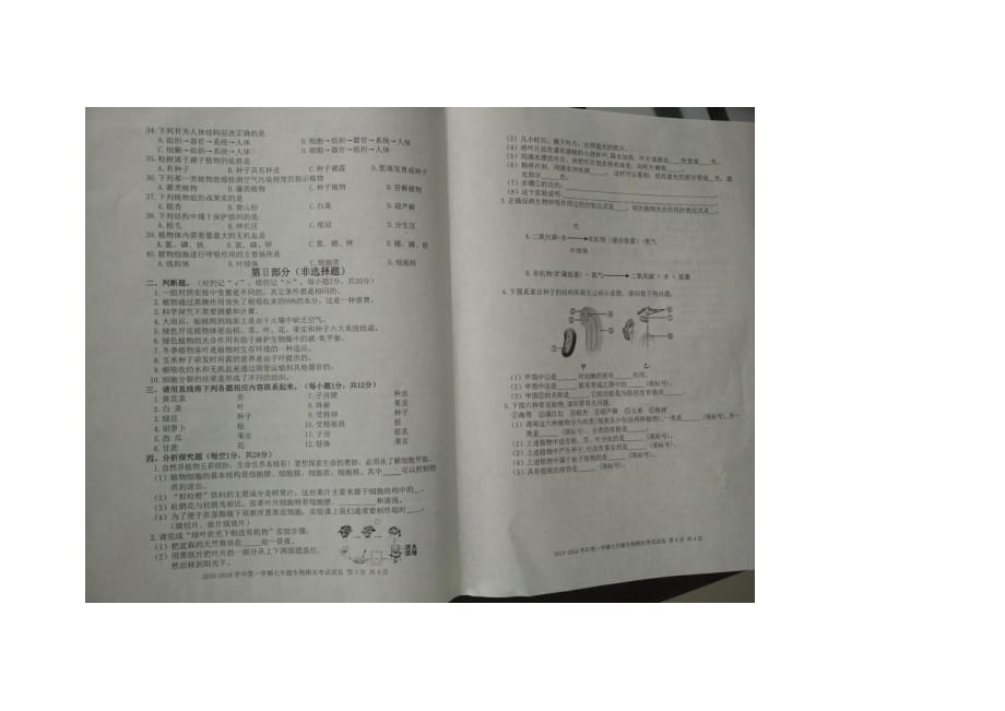 新疆喀什地区巴楚第二中学七级生物期末.doc_第1页