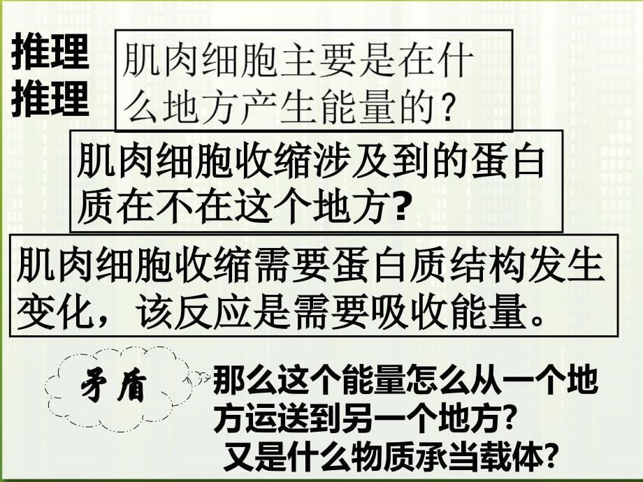 高中生物细胞与能量1 浙教必修1.ppt_第5页