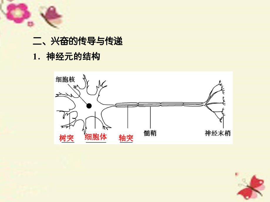 高考生物大一轮复习第1单元生命活动的调节第2讲通过神经系统的调节必修3.ppt_第4页