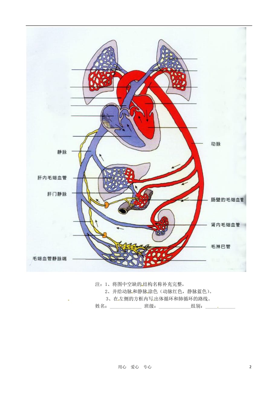 河北承德平安堡中学七级生物血液循环示意图学生用.doc_第2页