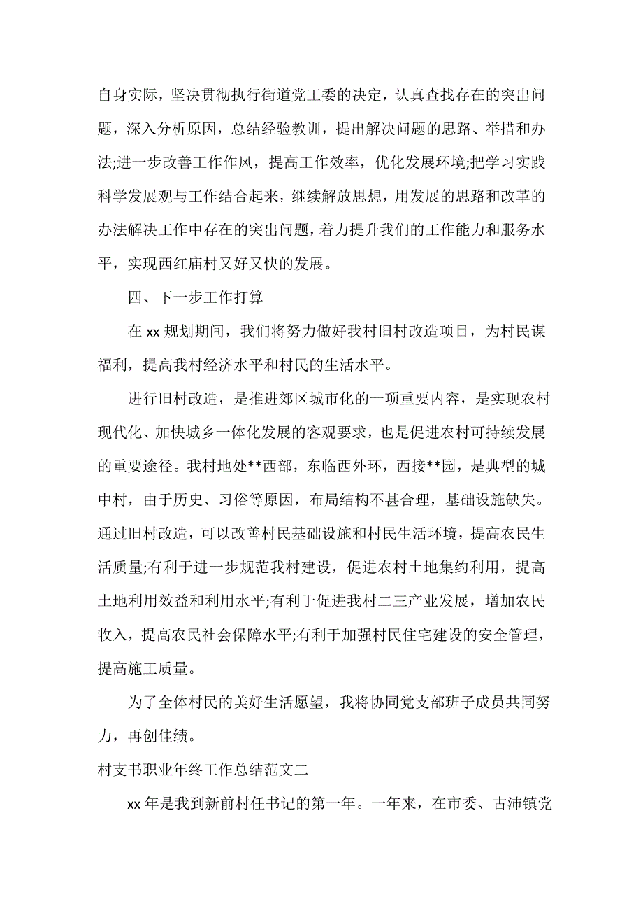 村支书职业年终工作总结报告_第3页