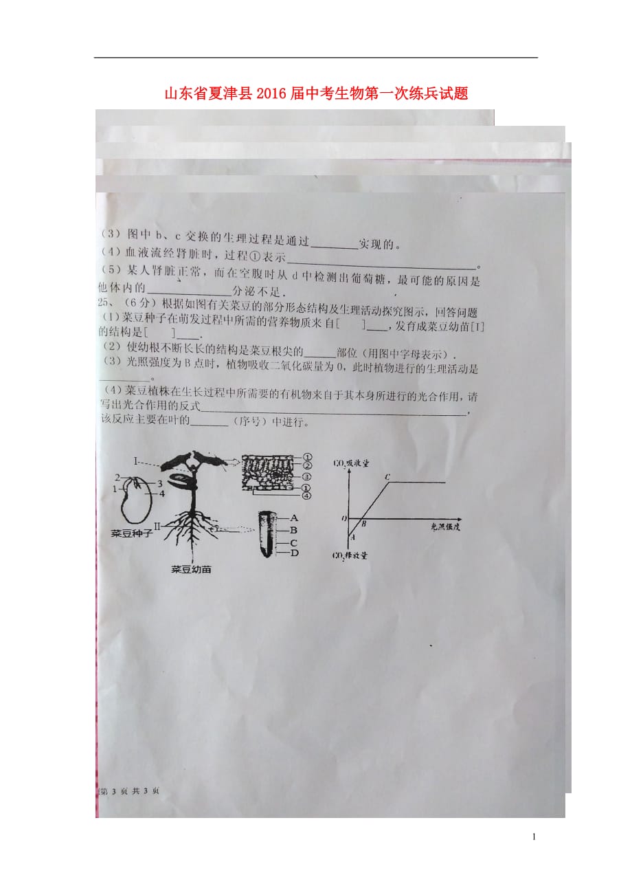 山东夏津中考生物第一次练兵.doc_第1页