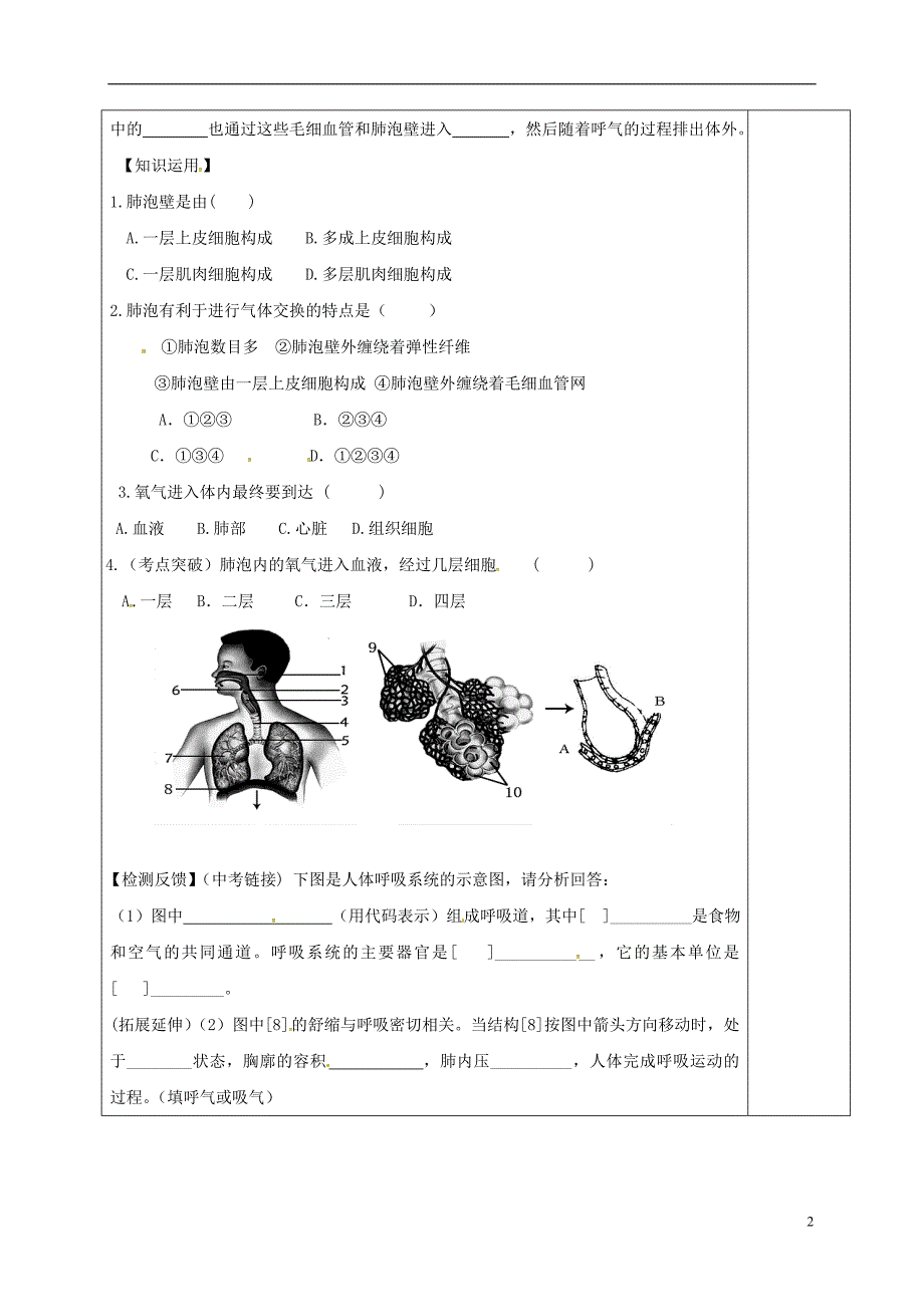 内蒙古鄂尔多斯市七年级生物下册4.3.2发生在肺内的气体交换（第2课时）导学案（无答案）（新版）新人教版 (1).doc_第2页