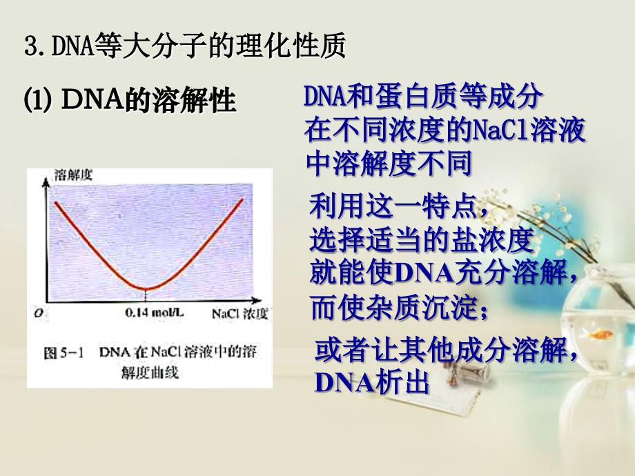 高中生物第五章 第一节 DNA的粗提取与鉴定3 选修1.ppt_第3页