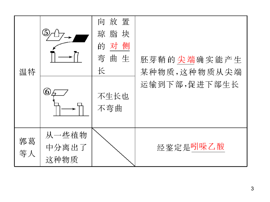 高三生物一轮复习第23讲 植物生命活动的调节.ppt_第3页