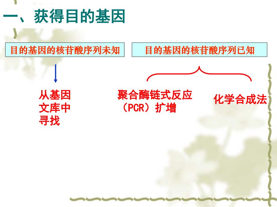 高二生物选修3 基因工程 的原理和技术 .ppt_第4页