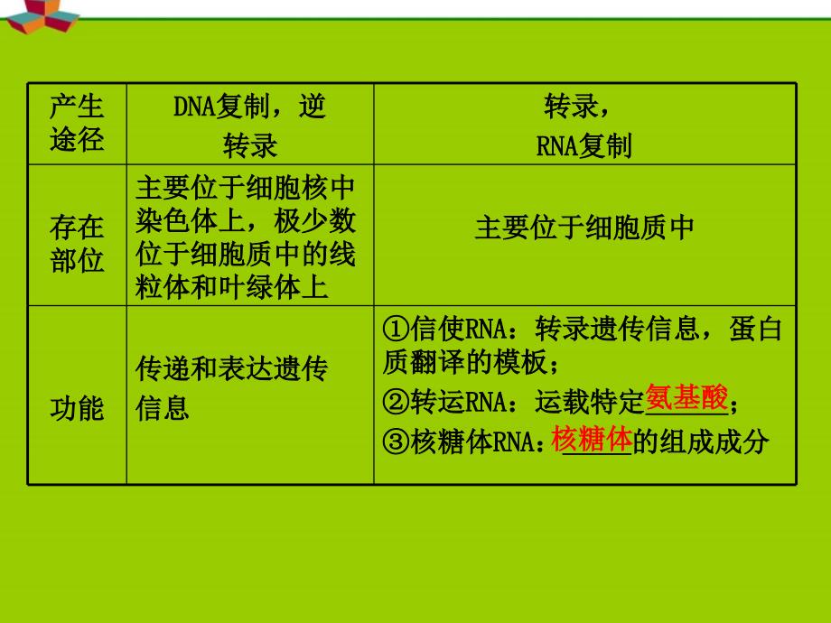 高三生物一轮复习第七单元第25课时基因控制蛋白质的合成苏教.ppt_第3页