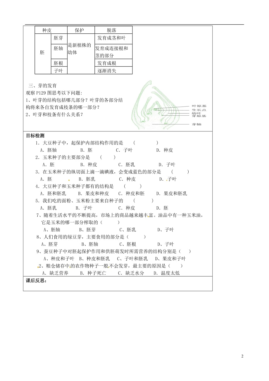 江苏徐州王杰中学八级生物上册19.2植物的生长和发育导学案新苏科 1.doc_第2页