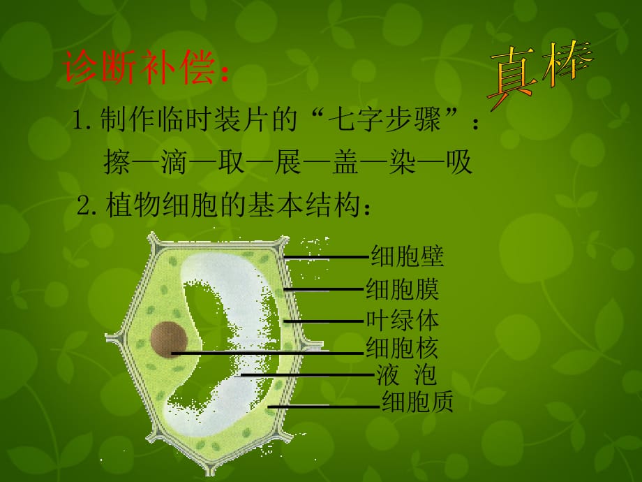 天津宝坻区新安第一初级中学七级生物上册第2单元第1章第3节动物细胞新 1.ppt_第2页