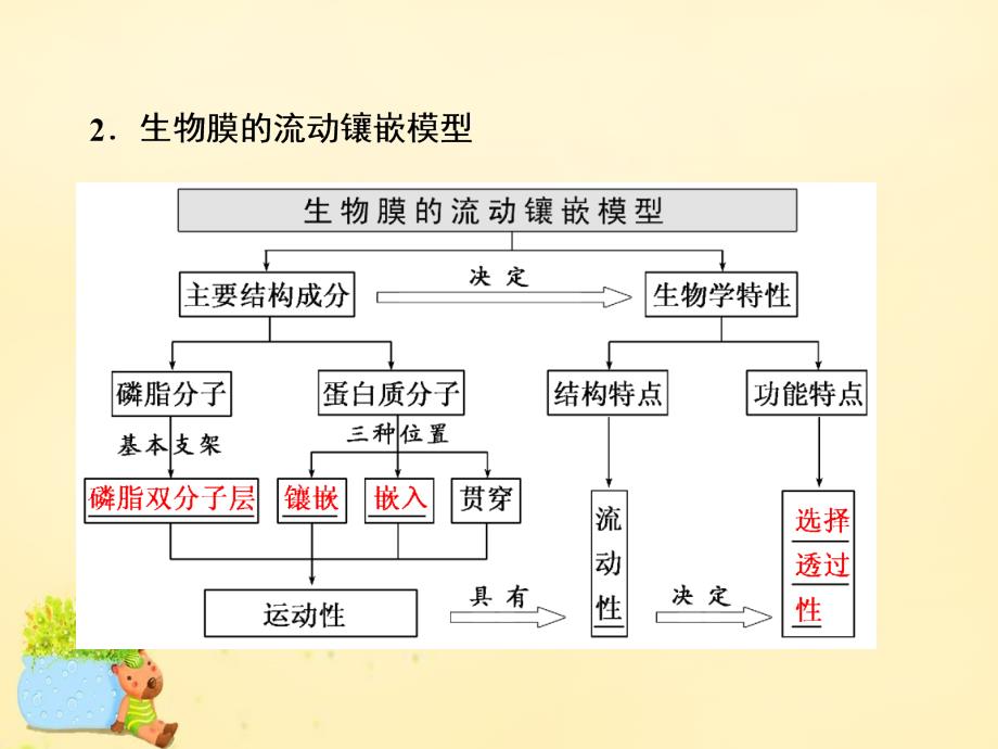 高三生物一轮复习第二单元细胞的结构与物质的输入和输出第一讲细胞膜与细胞核必修1.ppt_第4页