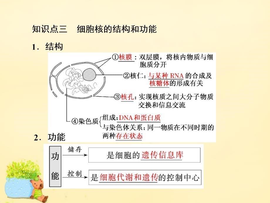 高三生物一轮复习第二单元细胞的结构与物质的输入和输出第一讲细胞膜与细胞核必修1.ppt_第5页