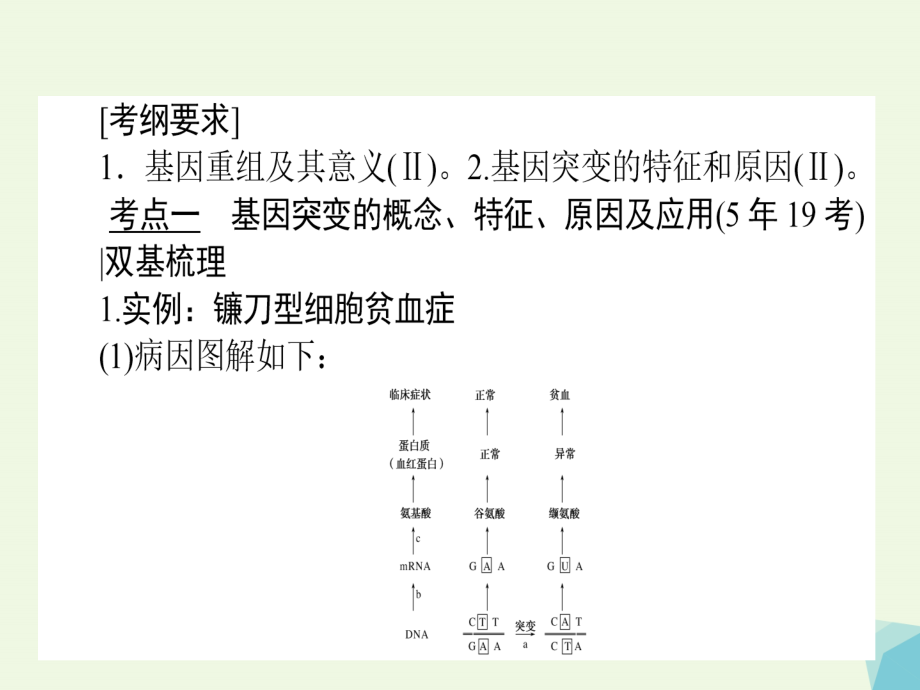 高考生物一轮复习构想第三单元生物的变异、育种与进化基础落实案1基因突变与基因重组必修2 1.ppt_第2页