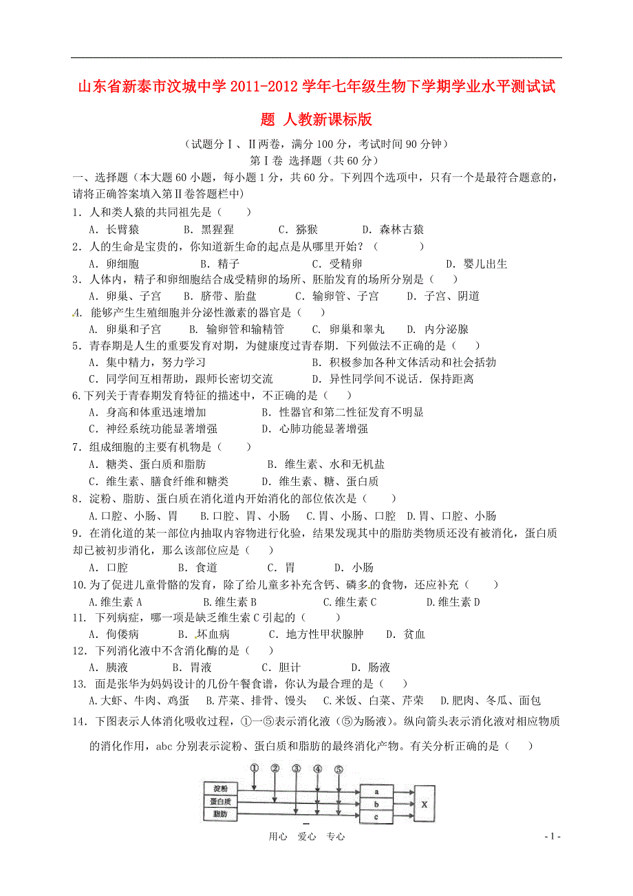 山东新泰汶城中学七级生物学业水平测试 .doc_第1页