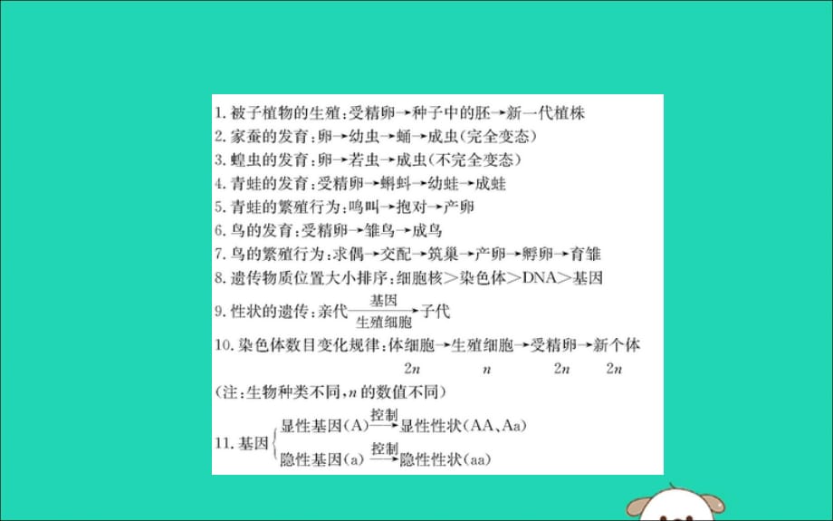 八级生物下册期末抢分必胜课常考流程图汇总新 1.ppt_第2页