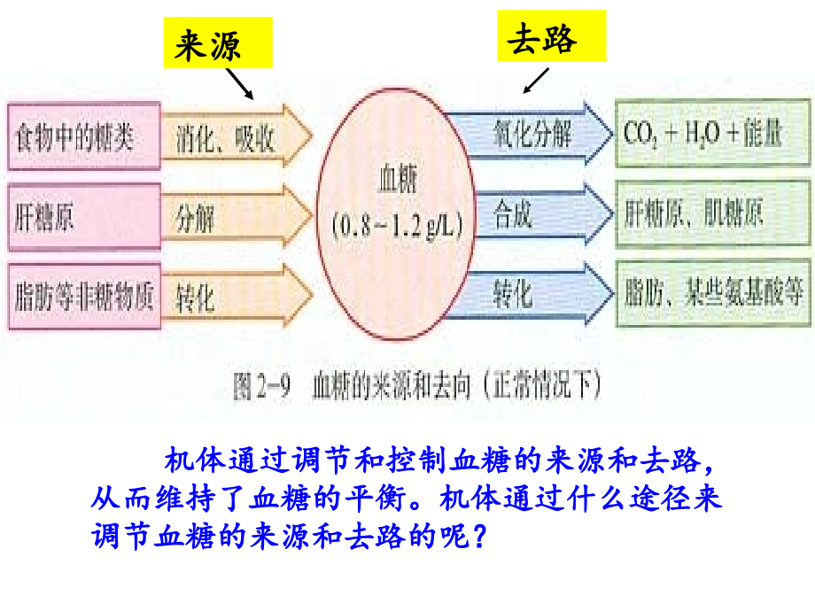 二、--通过激素的调节教学提纲_第4页