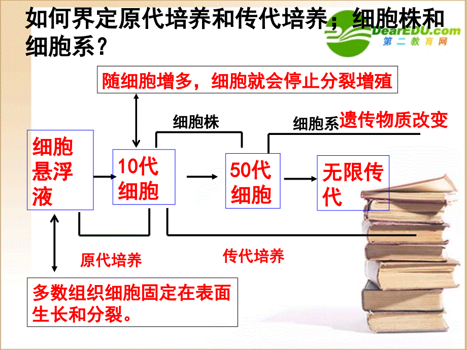 高中生物 动物细胞工程复习 选修3.ppt_第4页