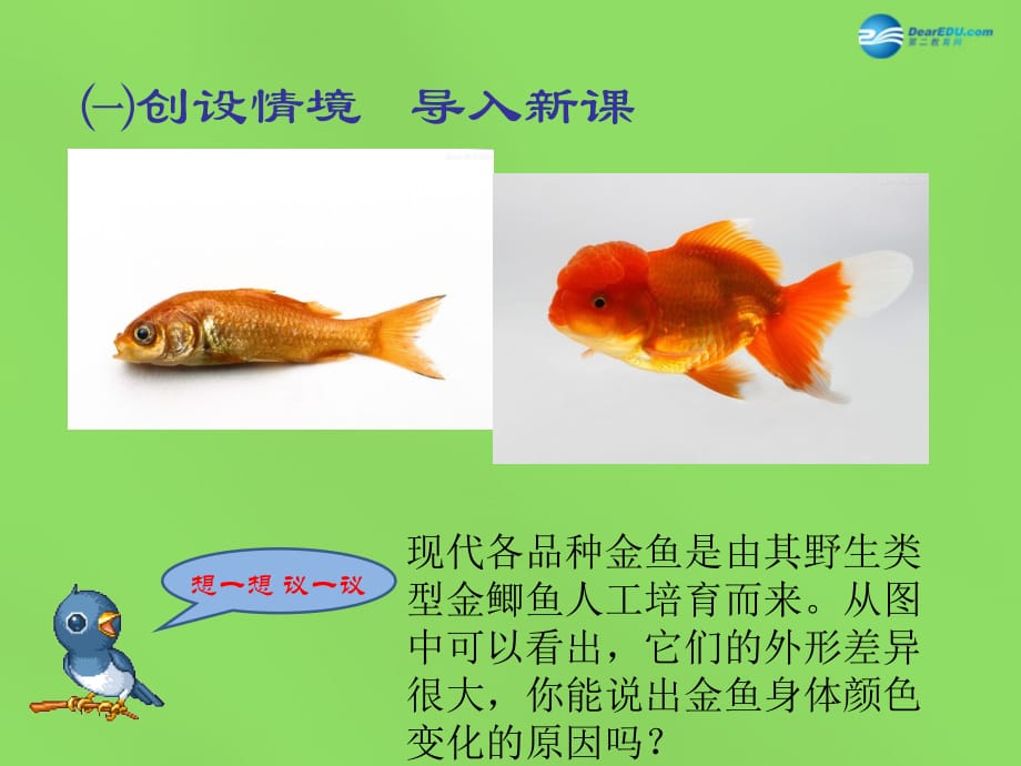 春八级生物下册 第七单元 第二章 第五节 生物的变异 .ppt_第2页