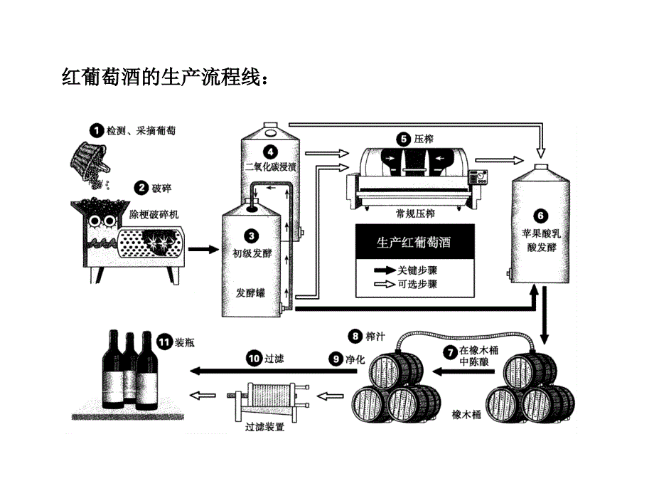 高考生物一轮复习 2 生物技术在食品加工中的应用 苏教选修1.ppt_第2页